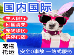 格尔木航空空运国际宠物托运 【国